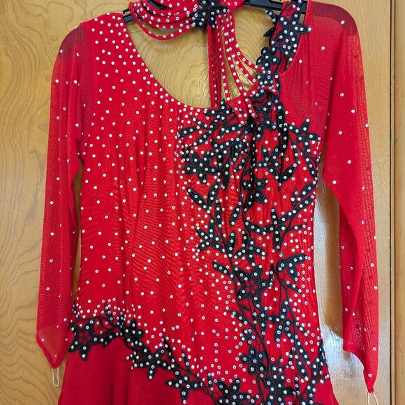 Ballroom dance dress - Picture 2 of 16